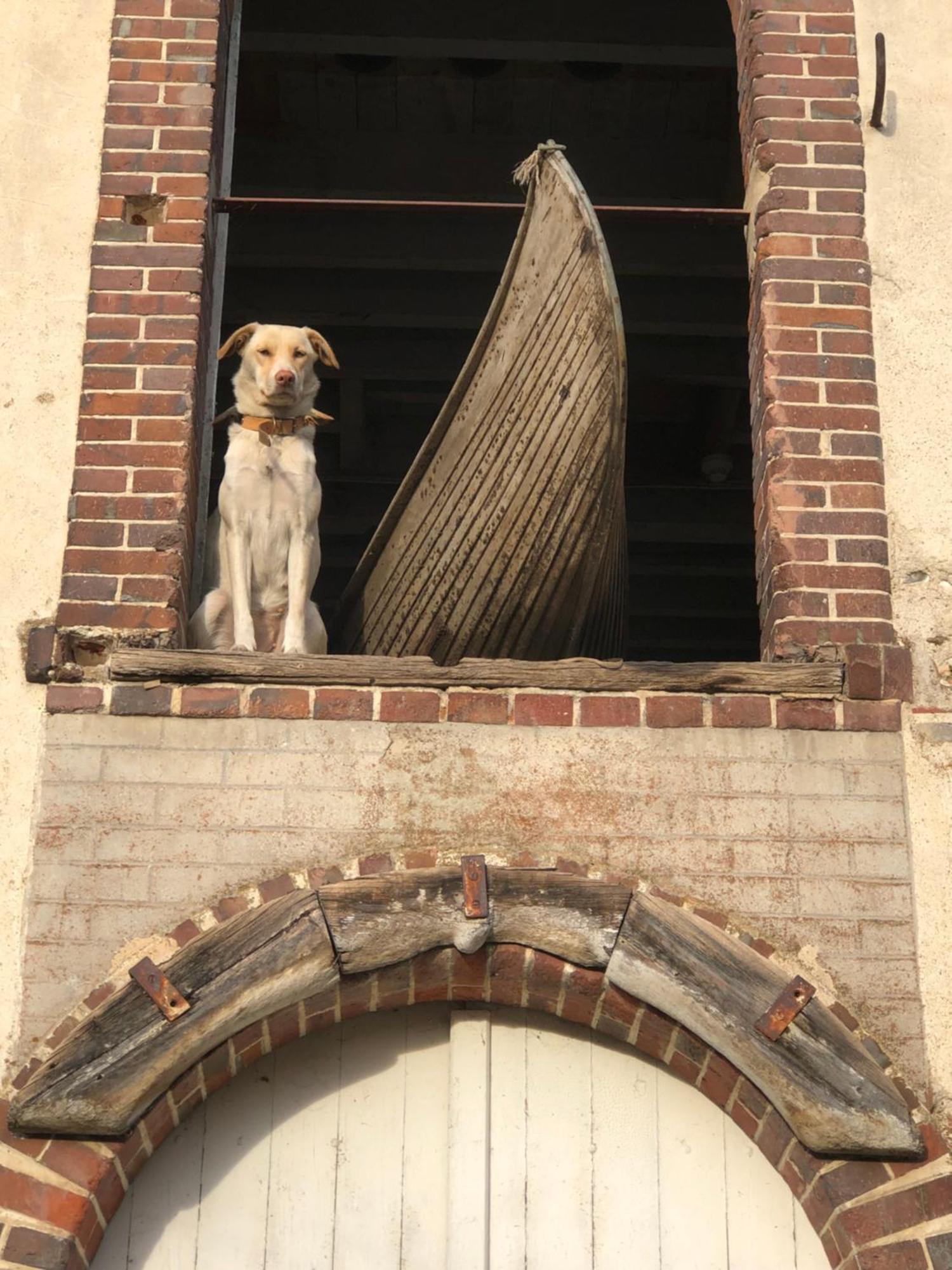 Loft Industriel Aux Grands Moulins De Ruffin Apartman Brechamps Kültér fotó